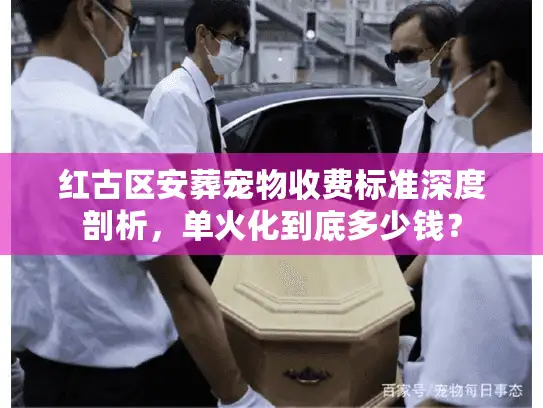 红古区安葬宠物收费标准深度剖析，单火化到底多少钱？