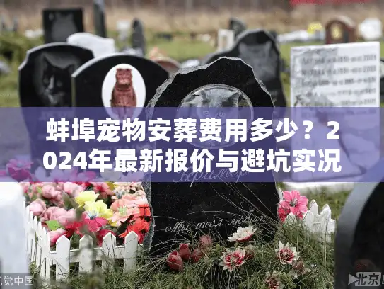蚌埠宠物安葬费用多少？2024年最新报价与避坑实况