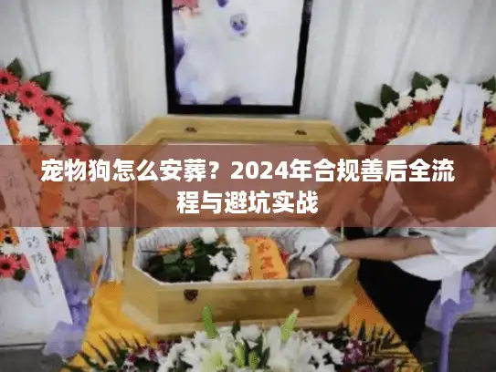 宠物狗怎么安葬？2024年合规善后全流程与避坑实战