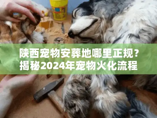 陕西宠物安葬地哪里正规？揭秘2024年宠物火化流程与真实价格