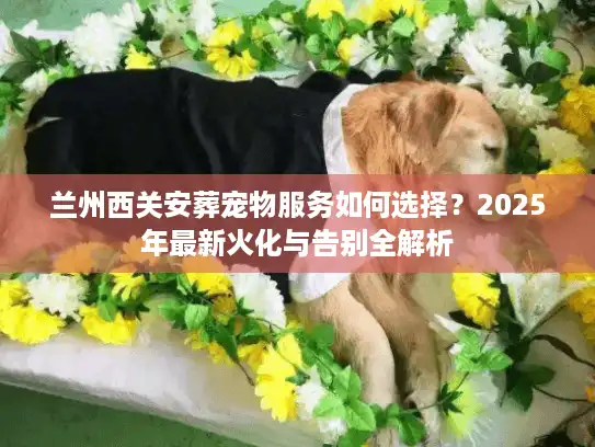 兰州西关安葬宠物服务如何选择？2025年最新火化与告别全解析