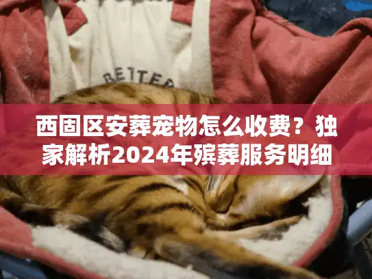 西固区安葬宠物怎么收费？独家解析2024年殡葬服务明细