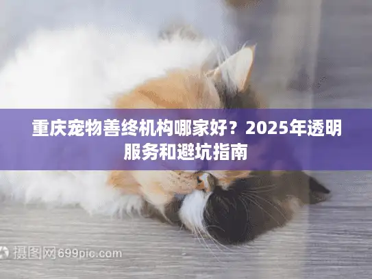 重庆宠物善终机构哪家好？2025年透明服务和避坑指南