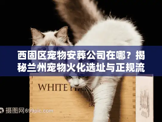 西固区宠物安葬公司在哪？揭秘兰州宠物火化选址与正规流程
