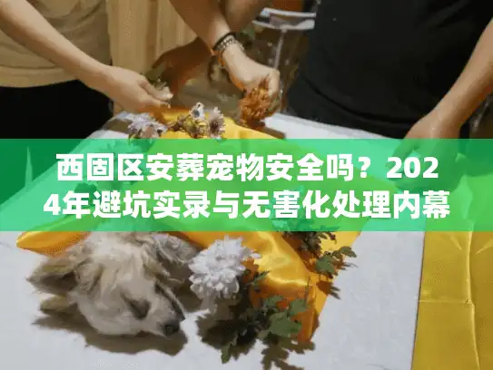 西固区安葬宠物安全吗？2024年避坑实录与无害化处理内幕