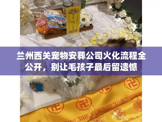 兰州西关宠物安葬公司火化流程全公开，别让毛孩子最后留遗憾