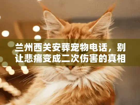 兰州西关安葬宠物电话，别让悲痛变成二次伤害的真相