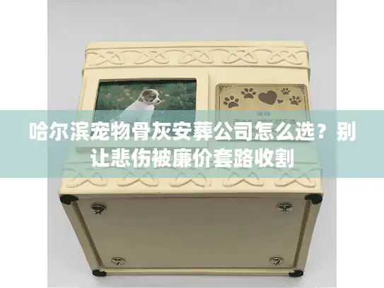 哈尔滨宠物骨灰安葬公司怎么选？别让悲伤被廉价套路收割