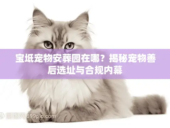 宝坻宠物安葬园在哪？揭秘宠物善后选址与合规内幕