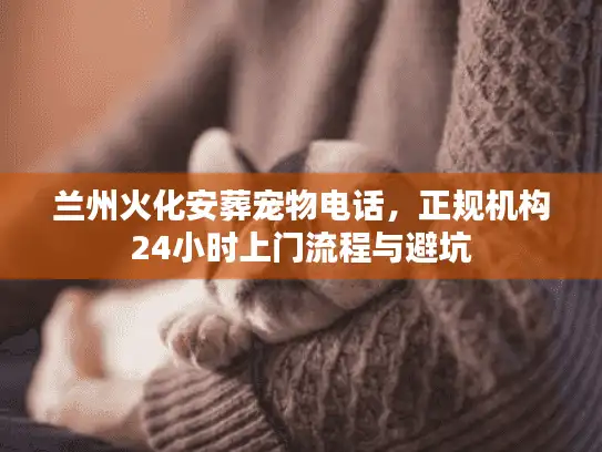兰州火化安葬宠物电话，正规机构24小时上门流程与避坑