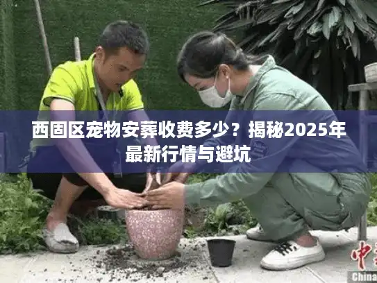 西固区宠物安葬收费多少？揭秘2025年最新行情与避坑