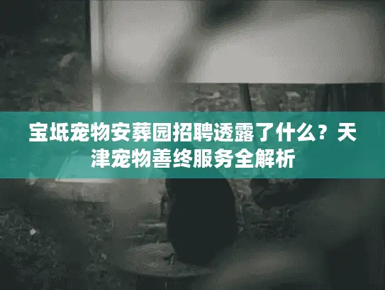 宝坻宠物安葬园招聘透露了什么？天津宠物善终服务全解析