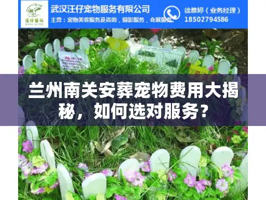 兰州南关安葬宠物费用大揭秘，如何选对服务？