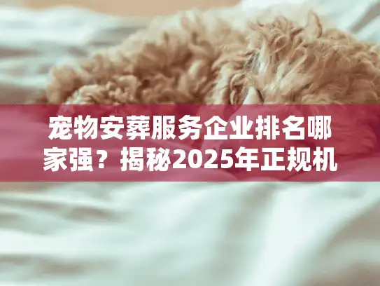 宠物安葬服务企业排名哪家强？揭秘2025年正规机构避坑实录
