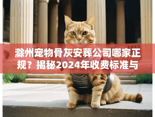 滁州宠物骨灰安葬公司哪家正规？揭秘2024年收费标准与安葬全流程