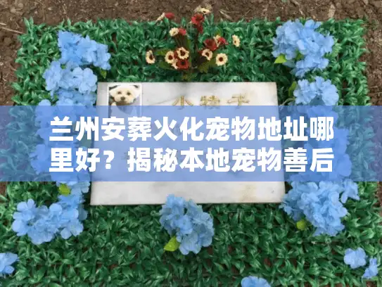 兰州安葬火化宠物地址哪里好？揭秘本地宠物善后服务门道