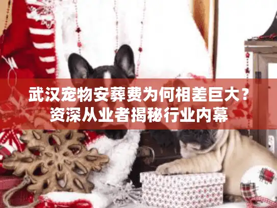 武汉宠物安葬费为何相差巨大？资深从业者揭秘行业内幕