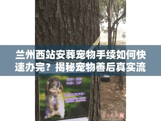 兰州西站安葬宠物手续如何快速办完？揭秘宠物善后真实流程