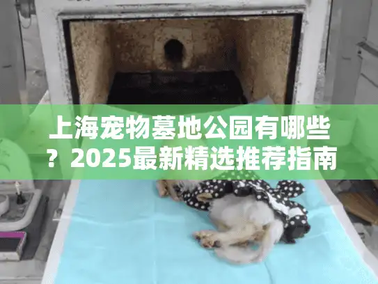 上海宠物墓地公园有哪些？2025最新精选推荐指南