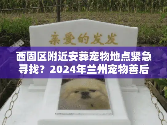 西固区附近安葬宠物地点紧急寻找？2024年兰州宠物善后服务深度评测