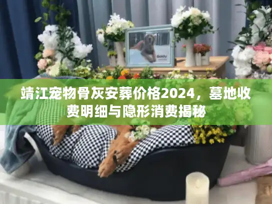 靖江宠物骨灰安葬价格2024，墓地收费明细与隐形消费揭秘
