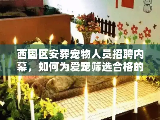 西固区安葬宠物人员招聘内幕，如何为爱宠筛选合格的善后师？