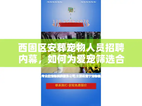 西固区安葬宠物人员招聘内幕，如何为爱宠筛选合格的善后师？
