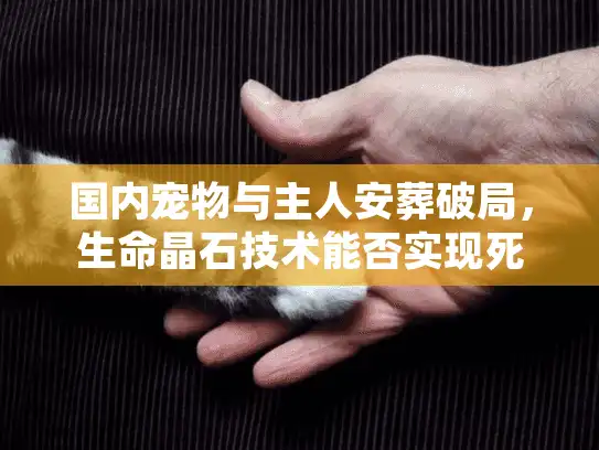 国内宠物与主人安葬破局，生命晶石技术能否实现死后同穴？