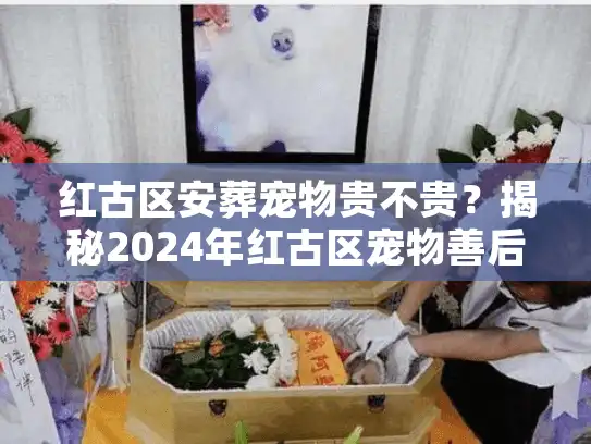 红古区安葬宠物贵不贵？揭秘2024年红古区宠物善后服务真实报价
