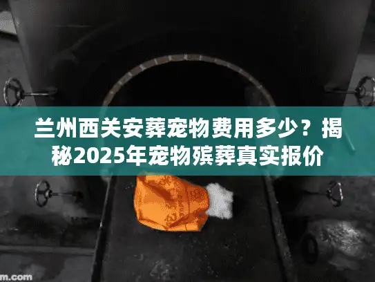 兰州西关安葬宠物费用多少？揭秘2025年宠物殡葬真实报价