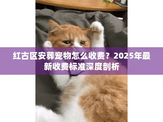红古区安葬宠物怎么收费？2025年最新收费标准深度剖析