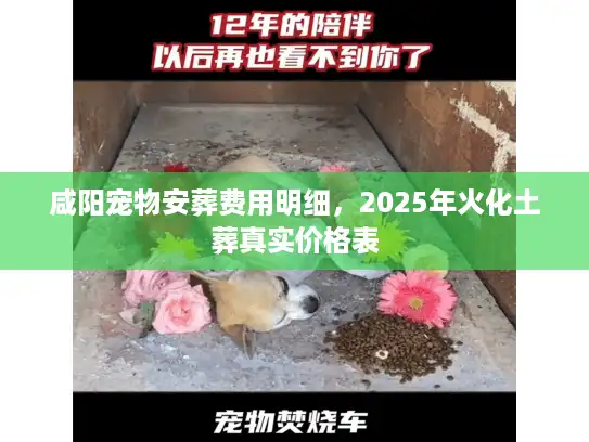 咸阳宠物安葬费用明细，2025年火化土葬真实价格表