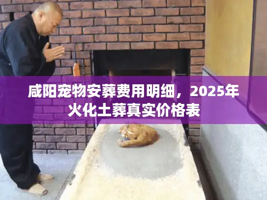 咸阳宠物安葬费用明细，2025年火化土葬真实价格表