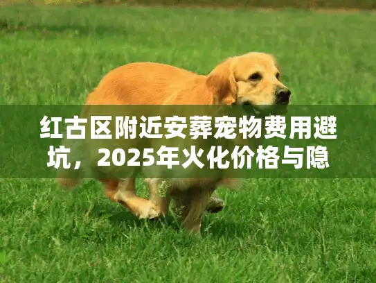 红古区附近安葬宠物费用避坑，2025年火化价格与隐形消费揭秘