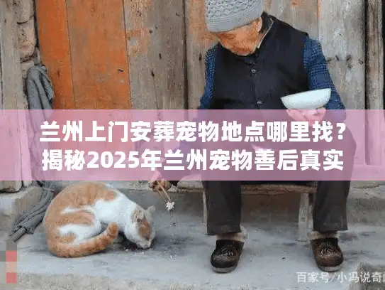 兰州上门安葬宠物地点哪里找？揭秘2025年兰州宠物善后真实流程