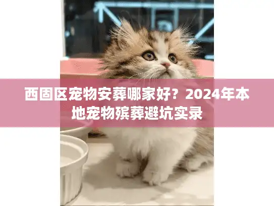 西固区宠物安葬哪家好？2024年本地宠物殡葬避坑实录