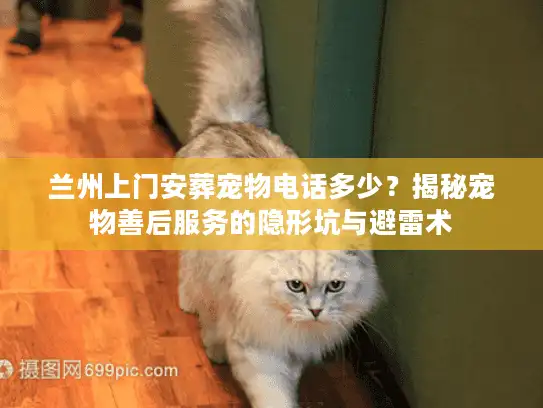 兰州上门安葬宠物电话多少？揭秘宠物善后服务的隐形坑与避雷术