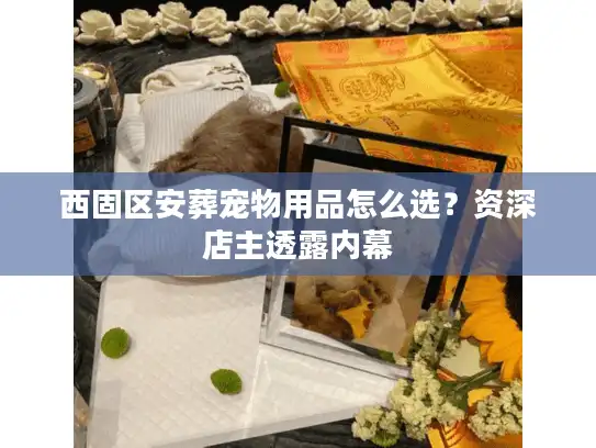 西固区安葬宠物用品怎么选？资深店主透露内幕