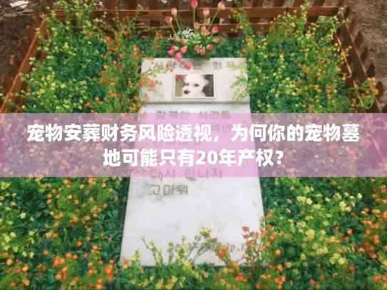 宠物安葬财务风险透视，为何你的宠物墓地可能只有20年产权？