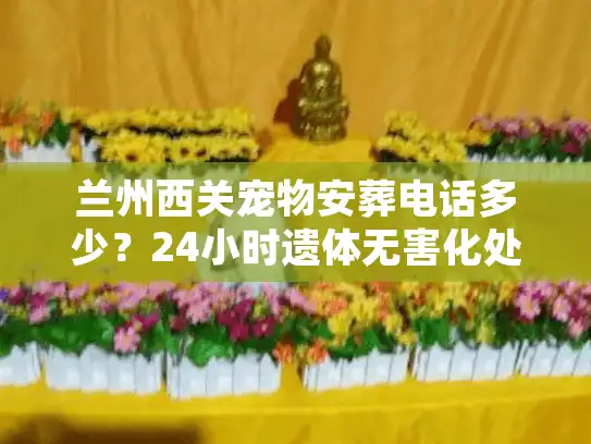 兰州西关宠物安葬电话多少？24小时遗体无害化处理全解析