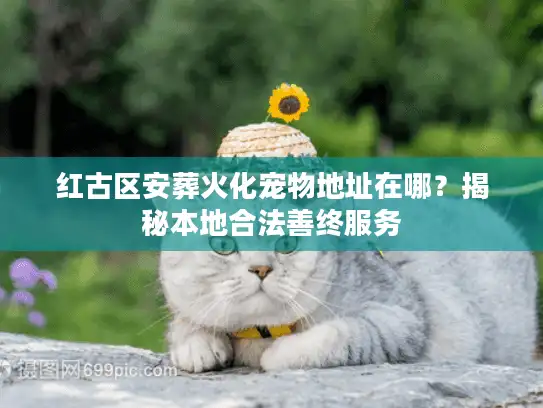 红古区安葬火化宠物地址在哪？揭秘本地合法善终服务
