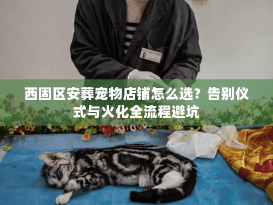 西固区安葬宠物店铺怎么选？告别仪式与火化全流程避坑