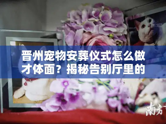 晋州宠物安葬仪式怎么做才体面？揭秘告别厅里的温情时刻