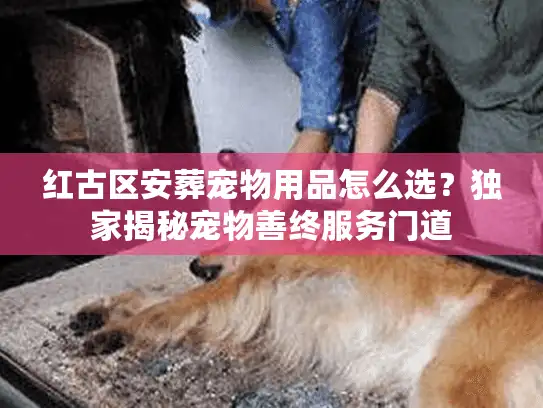 红古区安葬宠物用品怎么选？独家揭秘宠物善终服务门道