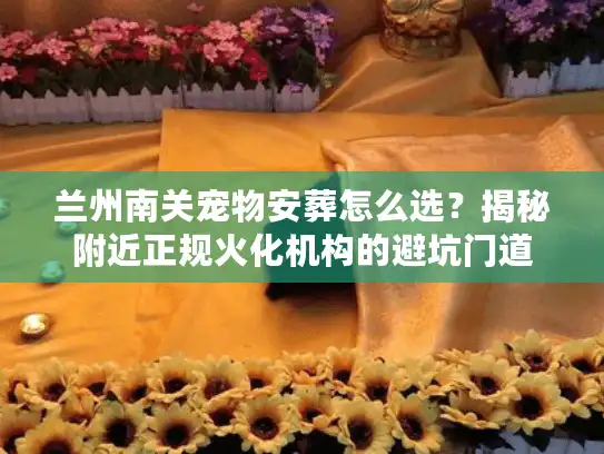 兰州南关宠物安葬怎么选？揭秘附近正规火化机构的避坑门道