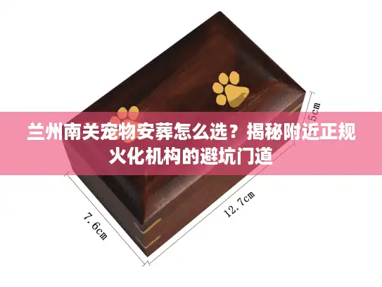 兰州南关宠物安葬怎么选？揭秘附近正规火化机构的避坑门道