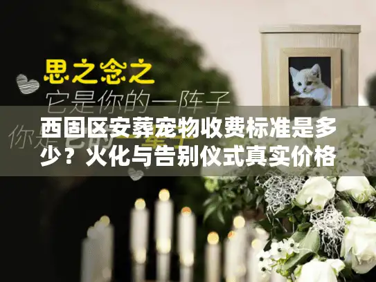 西固区安葬宠物收费标准是多少？火化与告别仪式真实价格曝光