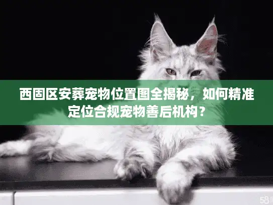 西固区安葬宠物位置图全揭秘，如何精准定位合规宠物善后机构？