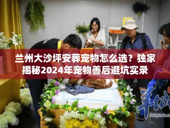 兰州大沙坪安葬宠物怎么选？独家揭秘2024年宠物善后避坑实录