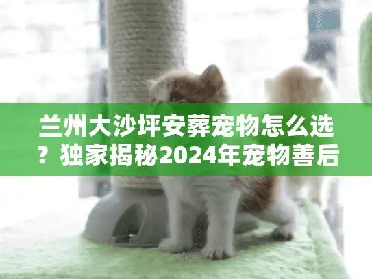 兰州大沙坪安葬宠物怎么选？独家揭秘2024年宠物善后避坑实录